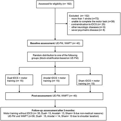 Limited Add-On Effects of Unilateral and Bilateral Transcranial Direct Current Stimulation on Visuo-Motor Grip Force Tracking Task Training Outcome in Chronic Stroke. A Randomized Controlled Trial